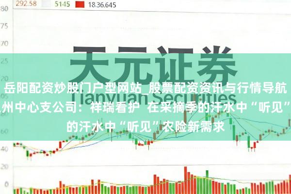 岳阳配资炒股门户型网站_股票配资资讯与行情导航 祥瑞产险泉州中心支公司：祥瑞看护  在采摘季的汗水中“听见”农险新需求